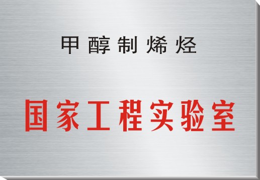 甲醇制烯烴國家工程實(shí)驗(yàn)室.jpg